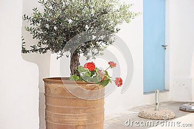 Ancient maritime courtyard white walls flowerpot plant Stock Photo