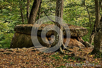 Ancient megalith dolmen among trees in an autumn grove Stock Photo