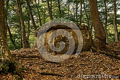 Ancient megalith dolmen among trees in an autumn grove Stock Photo