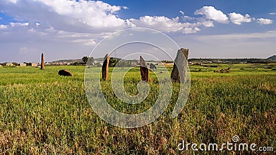 Ancient Megalith stela field, Axum, Ethiopia Stock Photo