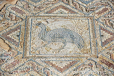 Ancient mosaic in Kourion, Cyprus Stock Photo