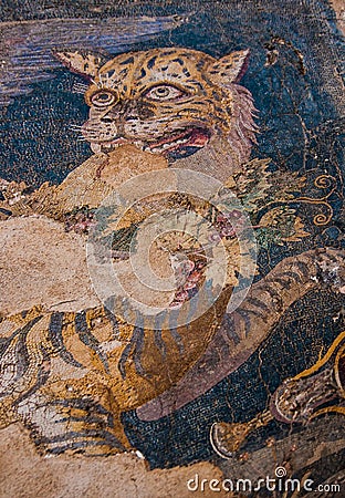 Ancient mosaics at the archaeological island of Delos Stock Photo