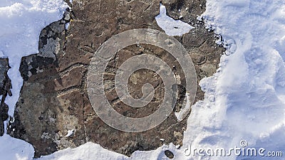 Ancient people carved animal drawings on the stone. Stock Photo