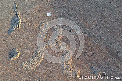 Ancient petroglyphs carved on the stones of Onega lake in Karelia Stock Photo