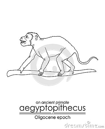 An ancient primate, aegyptopithecus Vector Illustration