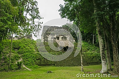 The ancient pyramid of the Mayan civilization in Tikal, Guatemala Stock Photo