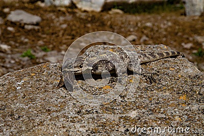 Ancient ruines of port Cesaria Israel Stock Photo