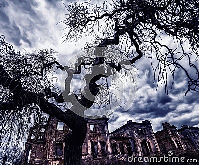 The ancient ruins of the mansion and a tree with curved bizarre branches. Mystical scary fabulous photo. Halloween celebration. Stock Photo