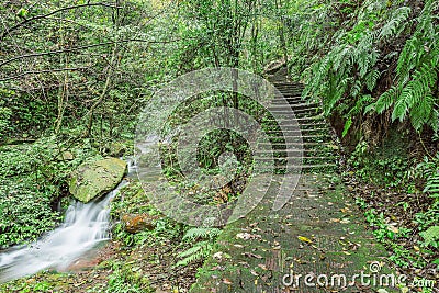 Ancient stairway in Zhangjiajie forest park. Stock Photo