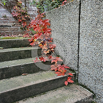 Ancient steps leading to the castle. Stock Photo