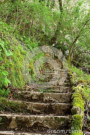 Ancient stone stairs in the forrest Stock Photo