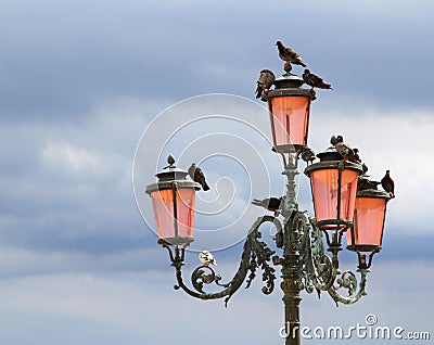Ancient Street lamp with the pigeons in Venice Stock Photo
