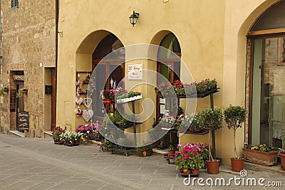The ancient streets with the window of a little shop selling flowers in pots, Editorial Stock Photo