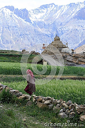 Ancient stupa near paddy field, Northen India Editorial Stock Photo