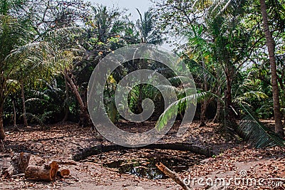 Ancient swimming pool with dark water at hte middle of jungles at the island Manadhoo the capital of Noonu atoll Stock Photo