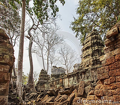 Ancient Ta Prohm temple, Angkor Thom, Siem Reap, Cambodia. Stock Photo