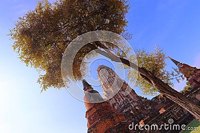 Wat Prha Mahathat Temple in Ayutthaya Stock Photo