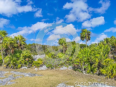 Ancient Tulum ruins Mayan site temple pyramids artifacts seascape Mexico Editorial Stock Photo