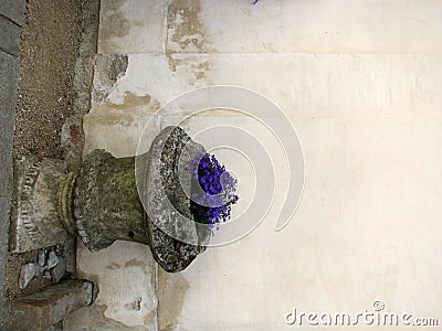 Ancient vase with violet flowers Stock Photo