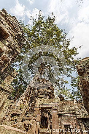 Ancient view of Ta Prohm temple, Angkor Thom, Siem Reap, Cambodia. Stock Photo