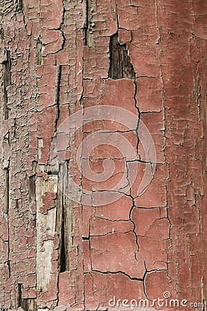 Ancient Wood Pillar Texture Stock Photo
