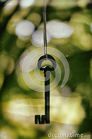 Ancient wrought iron key hanging between branches. Stock Photo