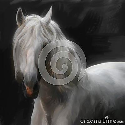 Andalusian horse Stock Photo