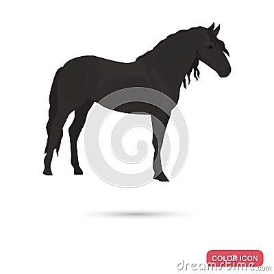 Andalusian horse color flat icon Vector Illustration
