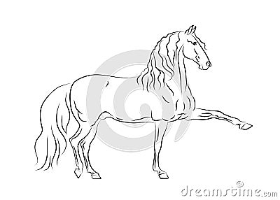 Andalusian horse in motion Vector Illustration