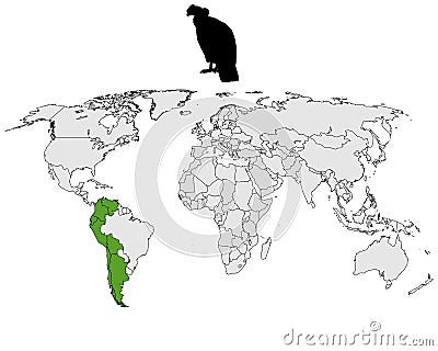 Andean Condor distribution Vector Illustration