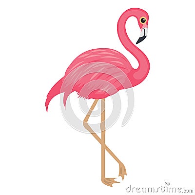 Andean flamingo, bird Vector Icon Isolated Vector icon which can easily modify or edit Vector Illustration