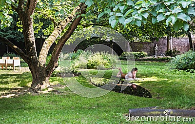 Anderlecht, Brussels - Belgium - Attractive young woman in summer clothes reading in the green lawn, lying on her tummy Editorial Stock Photo