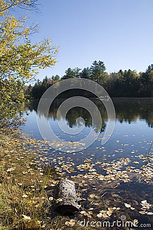 Androscoggin River in Fall Stock Photo