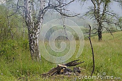 Andscape fire in the wood with a smoke Stock Photo