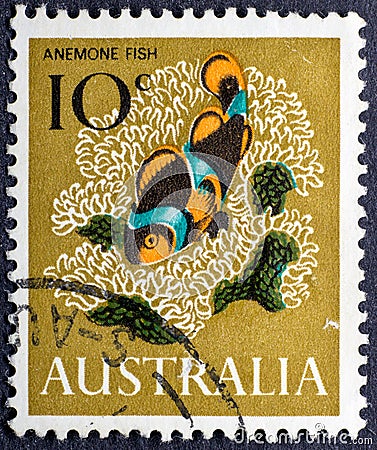 Anemone Fish Amphiprion percula in vintage stamp Editorial Stock Photo
