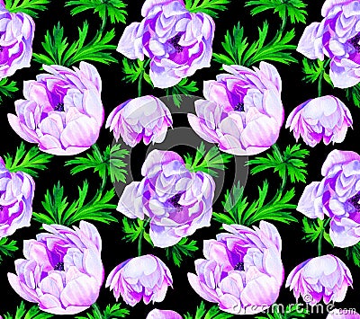 Anemone flower seamless pattern Cartoon Illustration