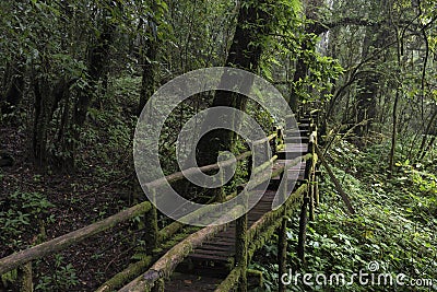 Ang Ka Luang Nature Trail at Doi Inthanon National Park, Chiang Stock Photo