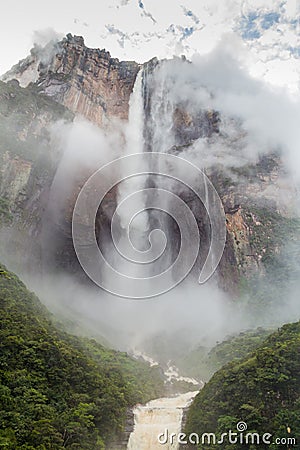 Angel Falls Salto Angel Stock Photo