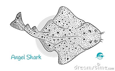 Angel Shark hand-drawn illustration Vector Illustration