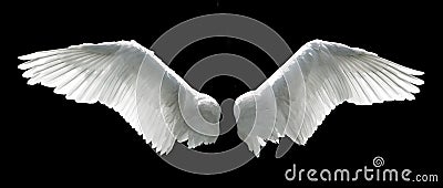 Angel wings Stock Photo