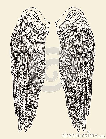 Angel wings illustration, engraved style, hand drawn Cartoon Illustration