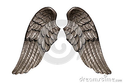Angel wings, Natural black wing plumage isolated on white background Stock Photo