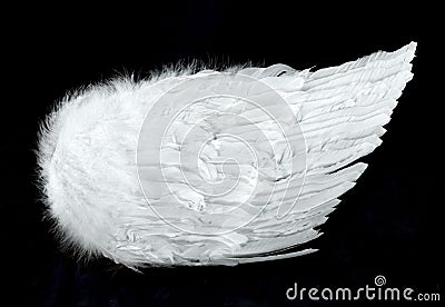 Angel Wings Side View Isolated on Black Stock Photo