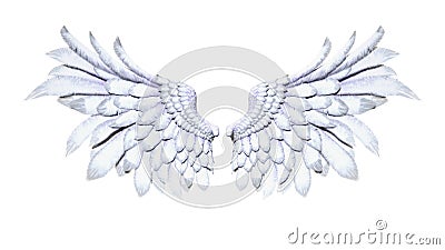 Angel Wings, White Wing Plumage on White Background Stock Photo