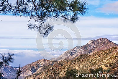 Los Angeles National Forest on the way to Mount Wilson Stock Photo