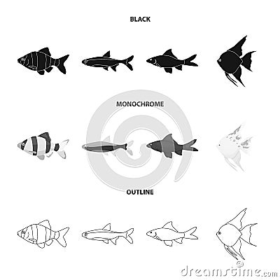 Angelfish, common, barbus, neon.Fish set collection icons in black,monochrome,outline style vector symbol stock Vector Illustration