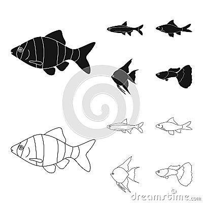 Angelfish, common, barbus, neon.Fish set collection icons in black,outline style vector symbol stock illustration web. Vector Illustration