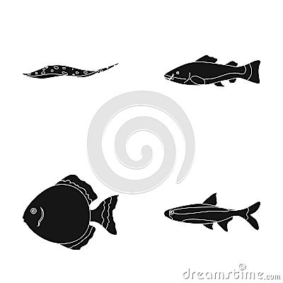 Angelfish, common, barbus, neon.Fish set collection icons in black style vector symbol stock illustration web. Vector Illustration