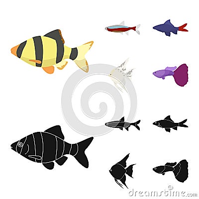 Angelfish, common, barbus, neon.Fish set collection icons in cartoon,black style vector symbol stock illustration web. Vector Illustration