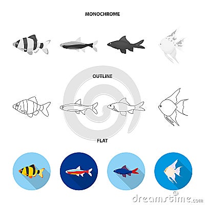 Angelfish, common, barbus, neon.Fish set collection icons in flat,outline,monochrome style vector symbol stock Vector Illustration